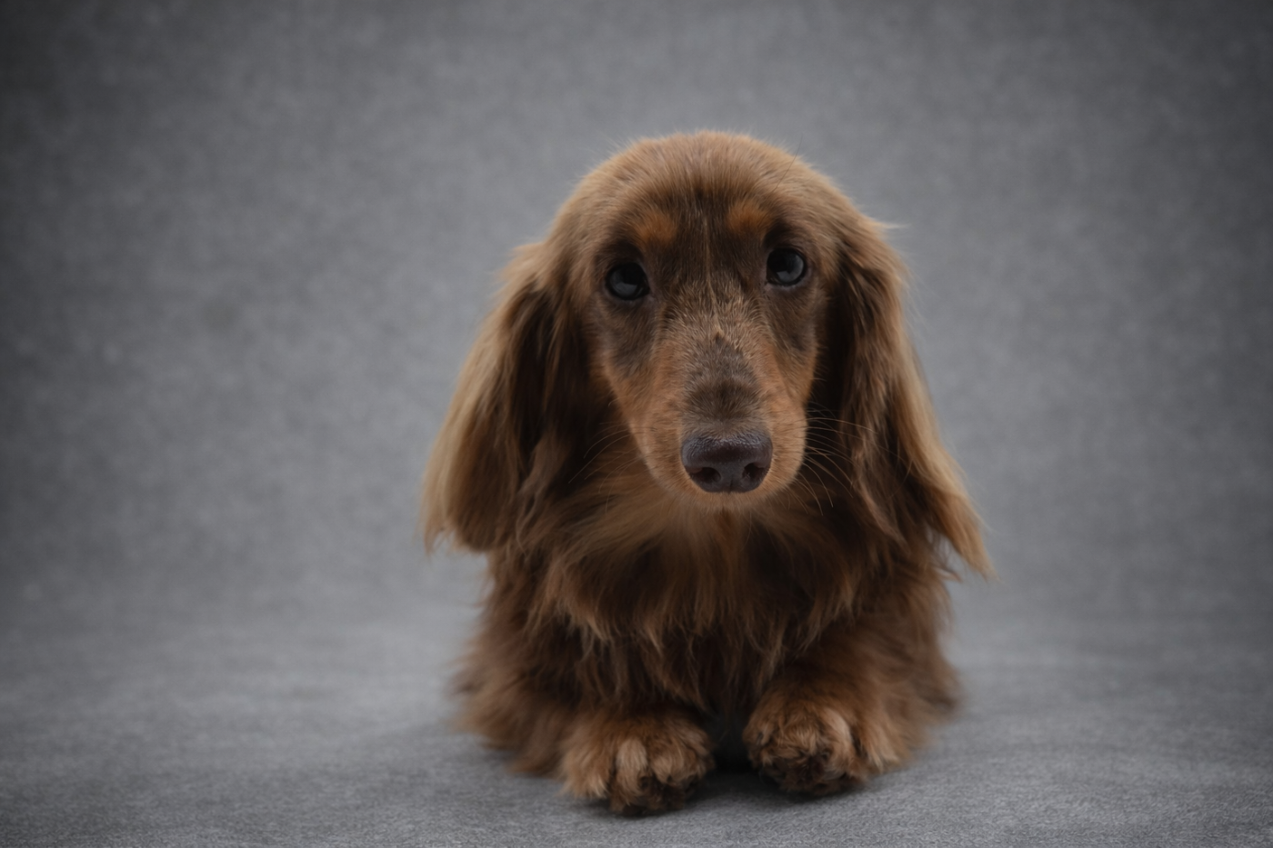 gledi best Will smith